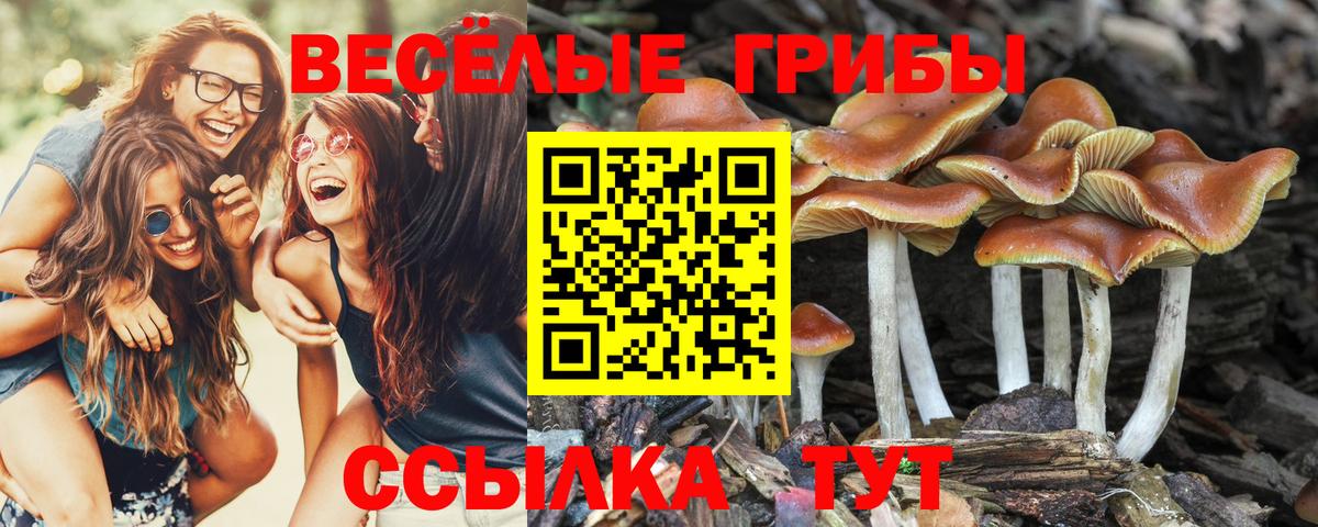 Галлюциногенные грибы GOLDEN TEACHER Гуково